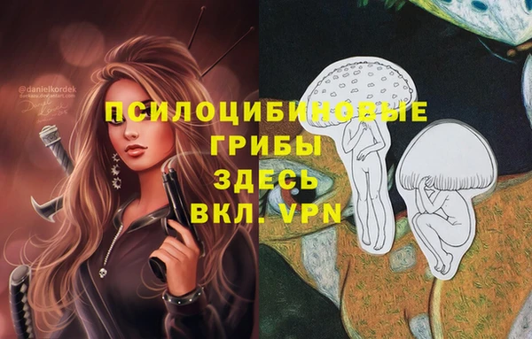 спайс Алзамай