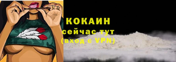 индика Щигры